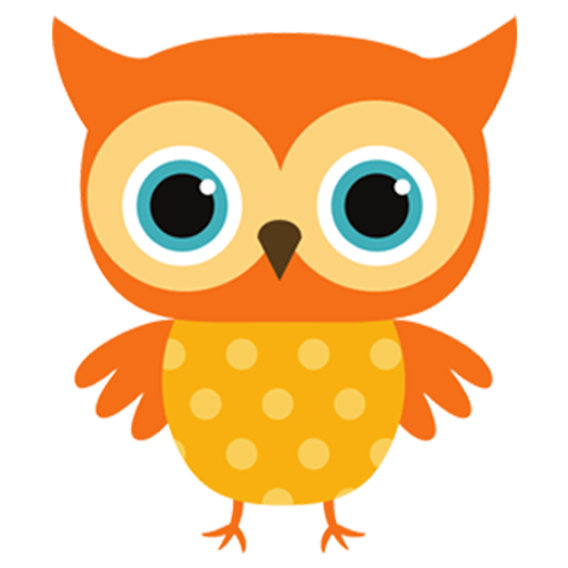 Cute Owl Education