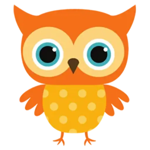 Cute Owl Education